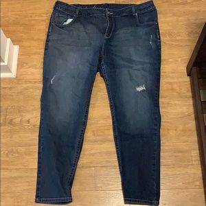 Lane Bryant GeniusFit Skinny Jeans 22w